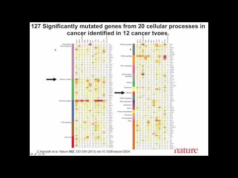 Finding Somatic Mutations in Cancer Genome Sequence Data
