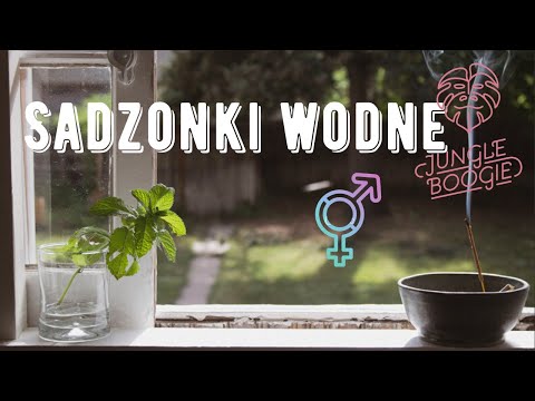 , title : 'Jak rozmnażać rośliny w wodzie czyli sadzonki wodne.'