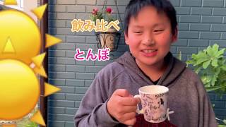 「お料理番組」お家で簡単水料理