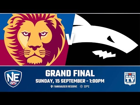 2019 NEAFL Grand Final - Brisbane Lions v Southport Sharks