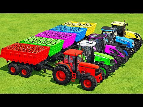 LOAD BLUEBERRIES & TRANSPORT BATTLE WITH JOHN DEERE, ZETOR, LANDINI & MCCORMICK TRACTORS