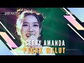 PECAK WELUT Voc CERRY AMANDA I LIVE OBROG ONLINE I