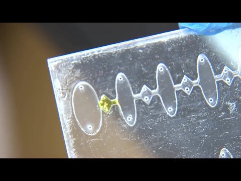 FAU researchers study non-invasive option to test for Zika