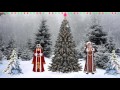Футаж Дед Мороз и Снегурочка в лесу 