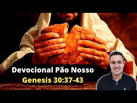 THE STRATEGY THAT WORKS (DEVOTIONAL #127)