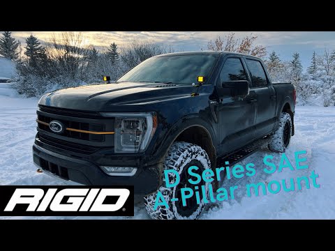 A pillar mount RIGID Industries D series Off-road Lights on F150 TREMOR