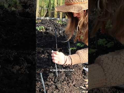 März im Garten: 16 Top-Aufgaben für die Ernte!