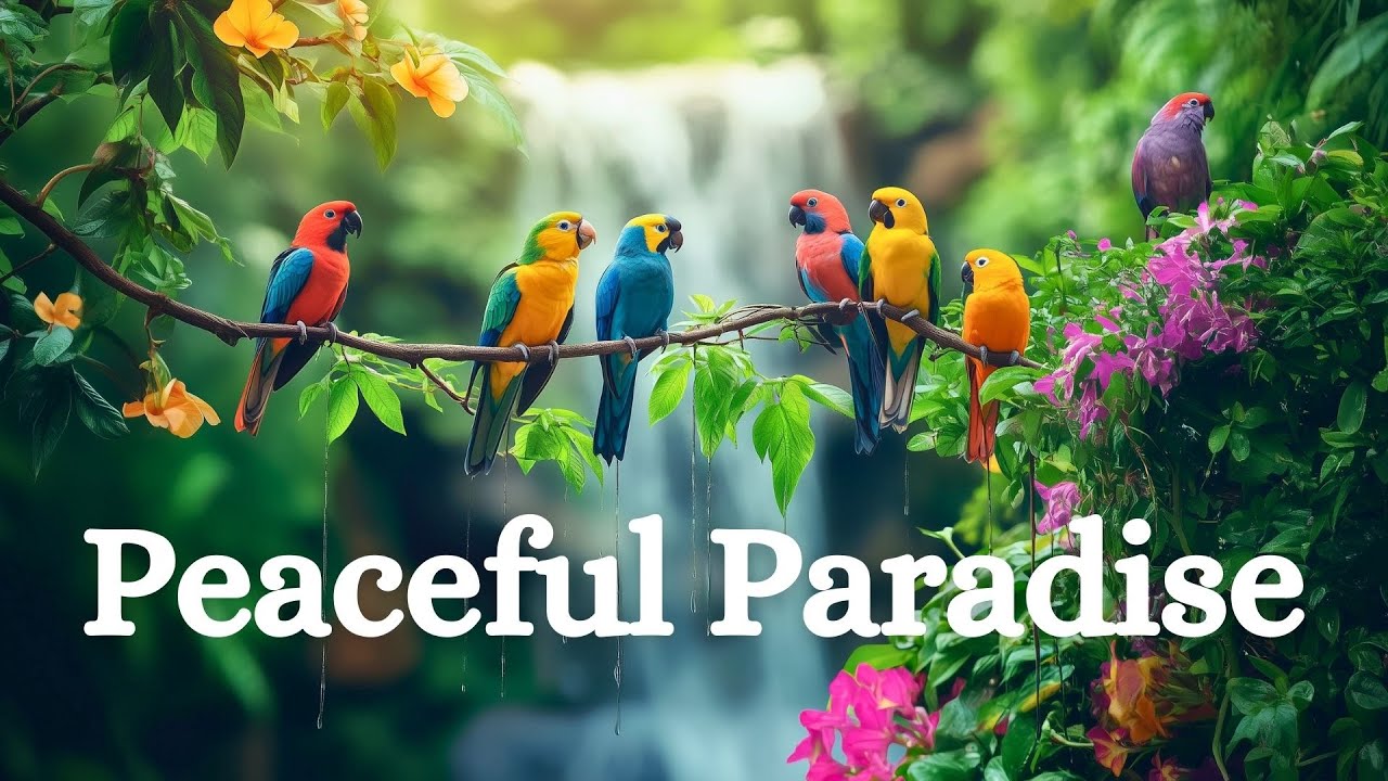 Colorful Birds & Flowing Waterfalls: A Peaceful Paradise in Nature’s Heart