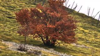 The War On Drugs  Disappearing