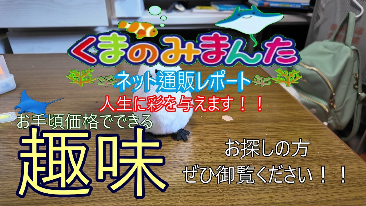 趣味をお探しの方へ！！お手頃価格で始められて、生涯楽しめるとっておきの趣味、ありますよ！！オズモポケットでの撮影です！！2026/3月　ネット通販レポート