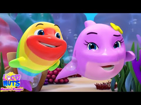 Peek A Boo Baby Shark + More Children Songs and Rhymes by Kids Tv