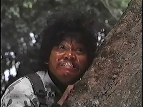 Pintsik (1994) DVDRip | Dennis Padilla, Donna Cruz, Keempee de Leon, Smokey Manaloto, Yukari Ôshima