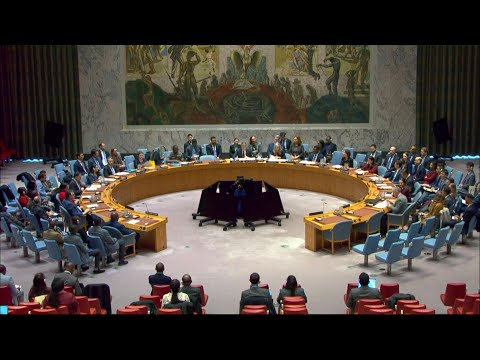 Video | UN Security Council votes to extend DR Congo mission by one year | AFP