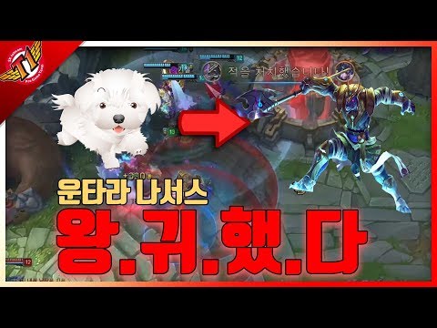 Doggy Nasus has scaled beautifully. Untara's Nasus play[solo que][17.09.20]