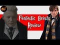 Fantastic Beasts Movie Review (+Easter Eggs & Sequel Thoughts)