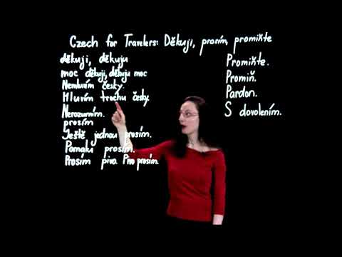 Czech for Travelers: Děkuji, prosím, promiňte