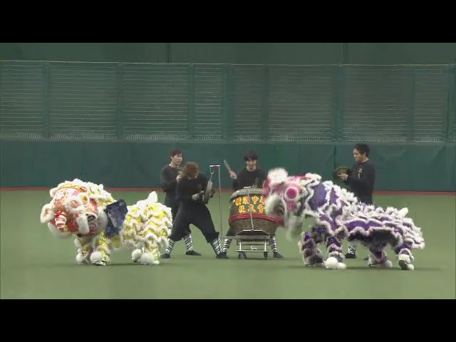 【試合前】「台湾獅子舞」が球場を盛り上げる 2018/4/21 L-M