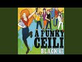 Funky Ceili (Bridie's Song)