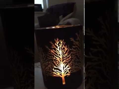 trim AEAC16B0 4FFE 4055 A5FD 304CA18B8FF1