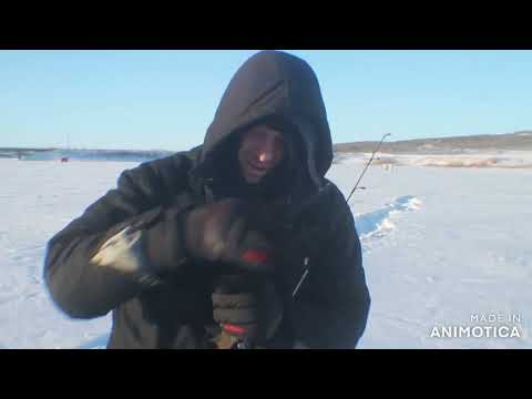 Lake Of The Prairies (Ice Fishing)