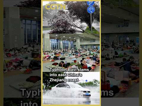 Typhoon Bavi slams into east China's Zhejiang coast