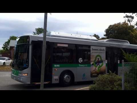 Transperth Mercedes-Benz OC500LE (Volgren CR228L) TP1646 Arrives @ Gosnells Station