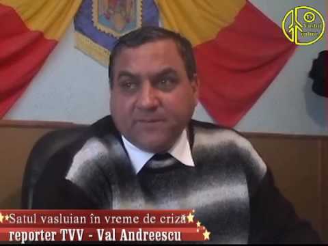 Satul vasluian in vreme de criza - Tacuta part I