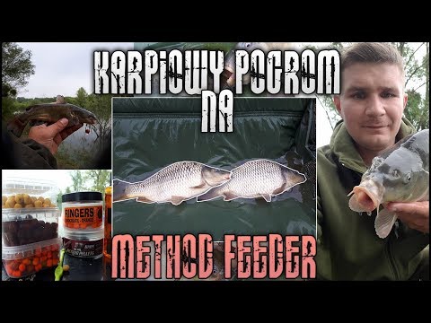 Karpiowy Pogrom i Nagrane Brania