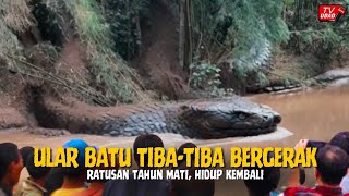 Download lagu WARGA PANIK‼️ Rekaman Batu Ular Raksasa Ini Tiba-Tiba Mengeluarkan Suara dan Bergerak Sendiri... mp3 Download lagu WARGA PANIK‼️ Rekaman Batu Ular Raksasa Ini Tiba-Tiba Mengeluarkan Suara dan Bergerak Sendiri... mp3