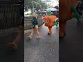 Spookley The Square Pumpkin