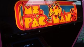 Ms. Pac-Man Cabaret Arcade Game from 1981, true classic 'mini' cabinet!