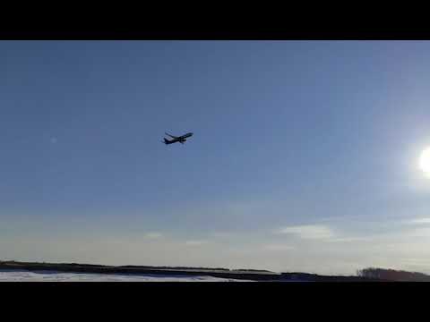 Аэрофлот из Тюмени в Москву