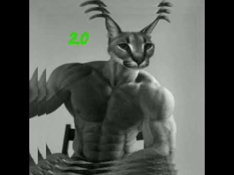 MONTAGEM VEM LOUVANO 2.0 🐓🎶 (COM GRAVE)