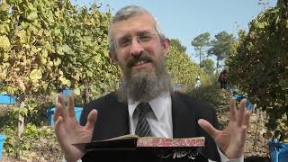 מסכת נזיר דף סו  - 8 דקות של לומדות ועמקות בדרך הלימוד הישיבתית [nazir 66]