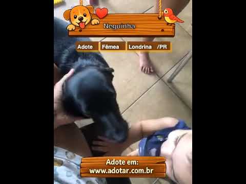 Vídeo de Neguinha