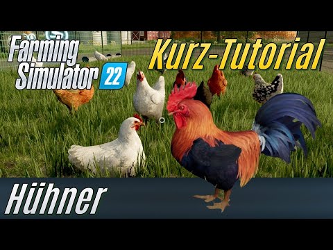 LS22 Kurz-Tutorial: Hühner (für Einsteiger)