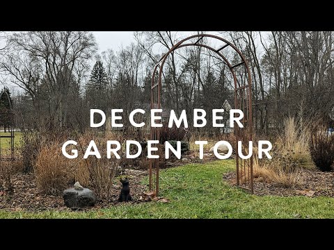 December Garden Tour || Last Tour of 2024
