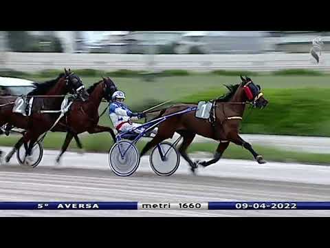 Aversa trotto 9 Aprile 2022 - 5° Corsa