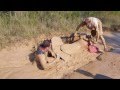 Renegade 800 Mud Digger Colt Ford Remix - Soggy Bottom Boyz Renegade 800 Mud Digger Colt Ford Remix - Soggy Bottom Boyz