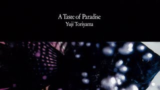Yuji Toriyama ‎- A Taste of Paradise (album)