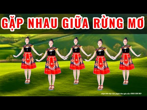 💥GẶP NHAU GIỮA RỪNG MƠ- SIÊU PHẨM MỚI - DỄ TẬP