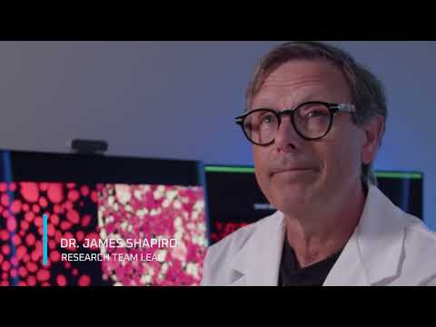 Dr. James Shapiro - Let's walk on a journey