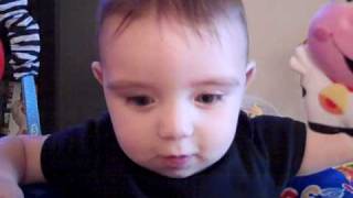 Goose Wins Staring Contest