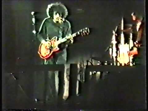 The Dream Syndicate - Roskilde Festival, July 5 1986 [FULL GIG]