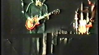 The Dream Syndicate - Roskilde Festival, July 5 1986 [FULL GIG]