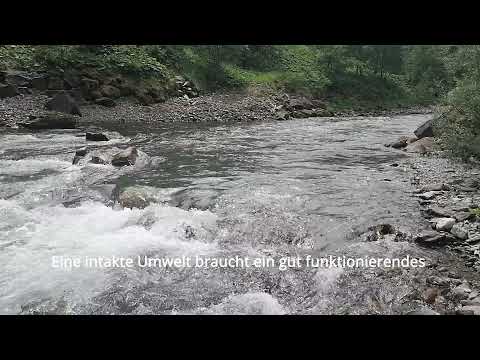 Umwelt und Recycling