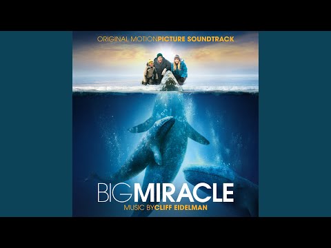 Media Frenzy / Will It Work?