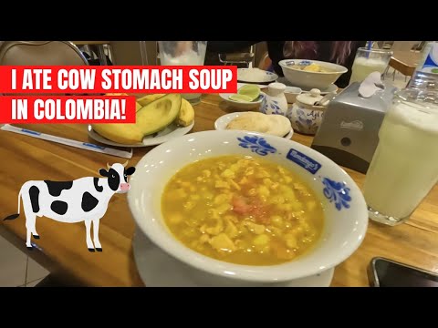 Traditional Colombian Food | Mondongo Soup | Medellin, Colombia