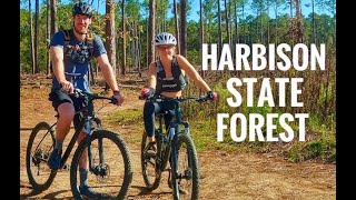 A ride on the firebreak trail at Harbison State Forest.