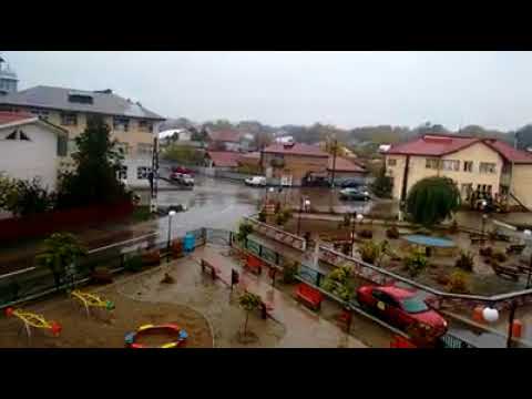 Imagini din Păunești 09.11.2017